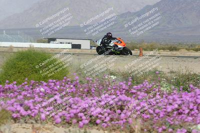 media/Feb-04-2023-SoCal Trackdays (Sat) [[8a776bf2c3]]/Turn 15 Inside Blooming (1050am)/